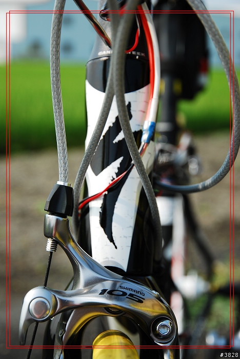 男人一生中必須要有的渦輪車與公路車Specialized ROUBAIX Comp