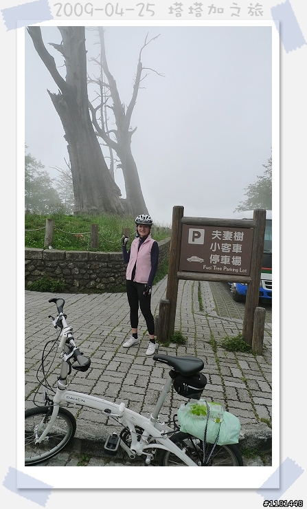 塔塔加之旅(女勇士篇)