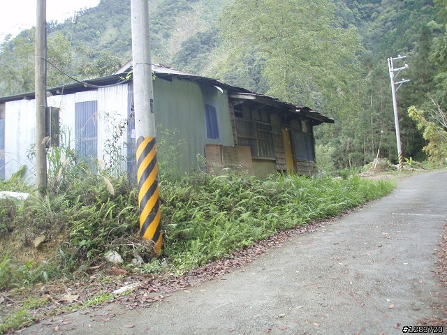 人倫林道鬥鬥遊