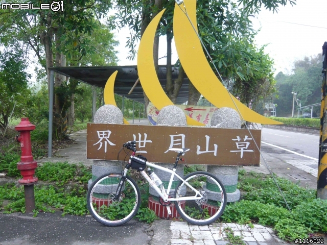 台南 五號樹屋 - 308高地