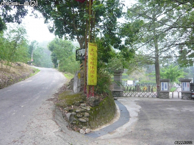 台南 五號樹屋 - 308高地