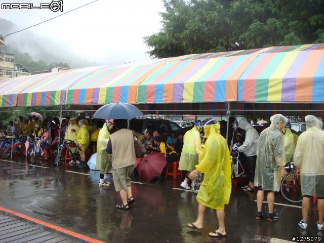 4月26日多少人被美利達擺了一道呢?