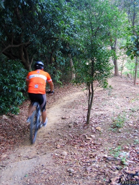 坔埔山單車行