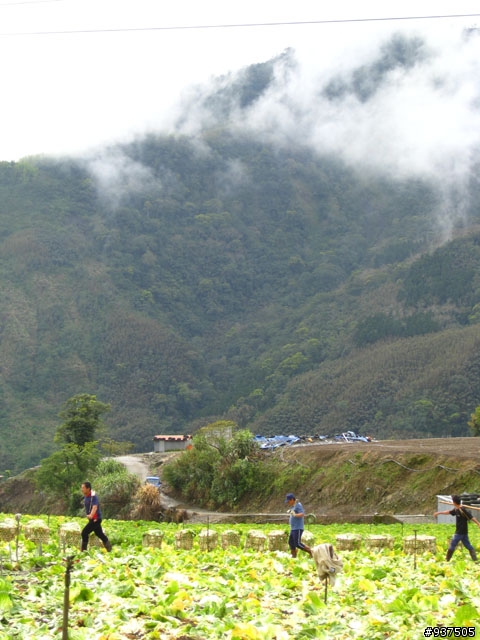 羅東→四季→梨山→大禹嶺→關原→太魯閣→新城→羅東