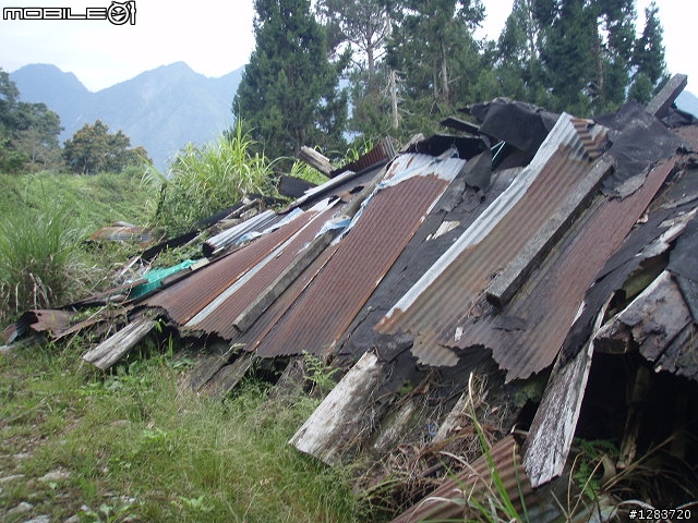 人倫林道鬥鬥遊