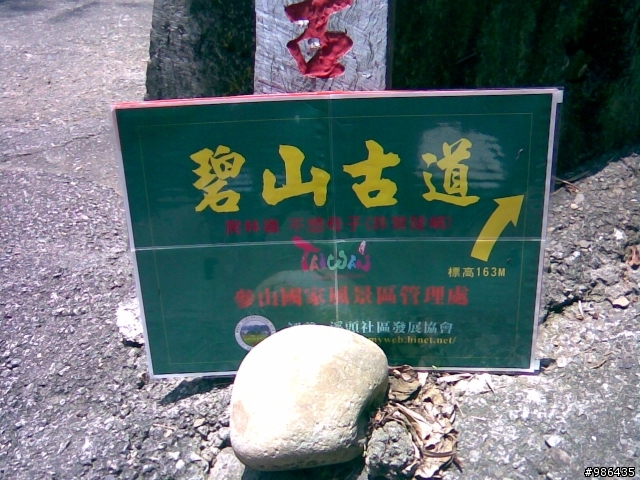 分享圖片