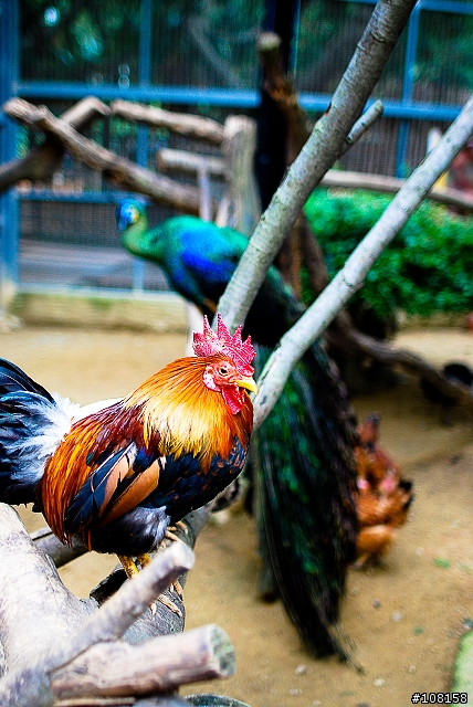 Sigma 28mm F1.8 冷門開箱(04/25補開箱照)