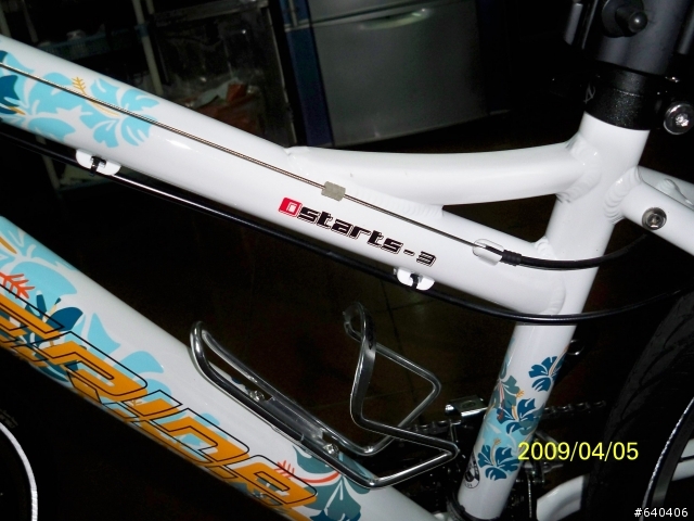 [分享文]女王座騎 M牌限量車OSTARTS-3  扶桑花