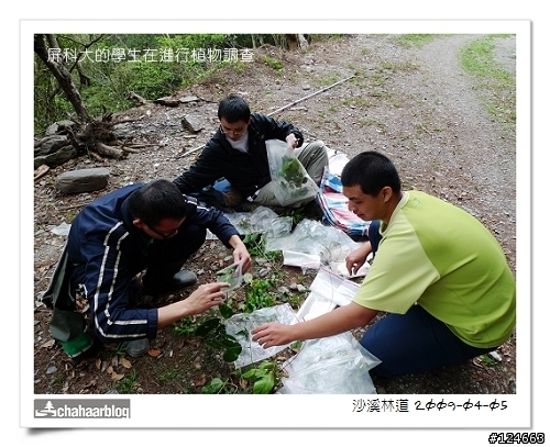 初探 沙溪林道