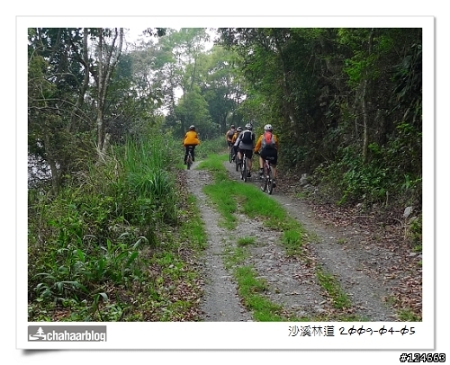 初探 沙溪林道