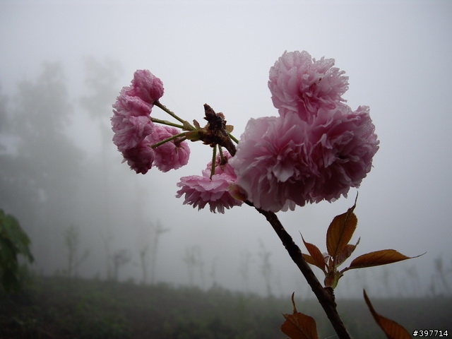 [景點] 數碼天空