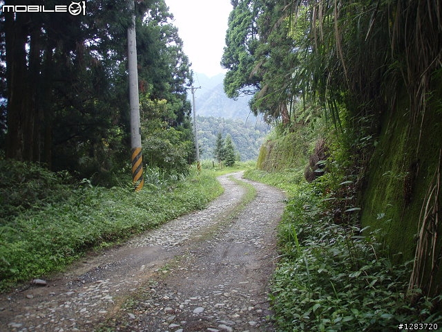 人倫林道鬥鬥遊