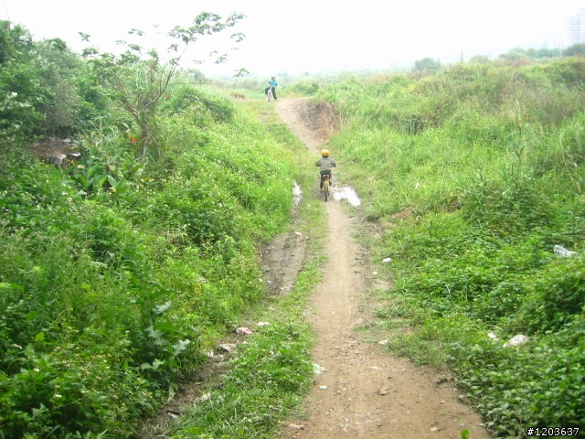 板橋大漢橋下U形土坡