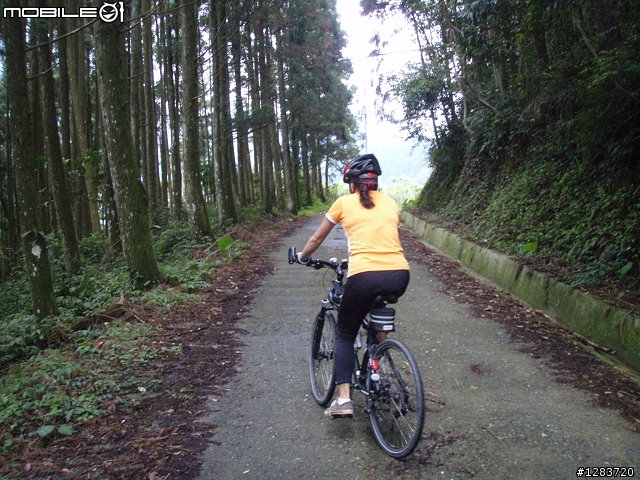 人倫林道鬥鬥遊