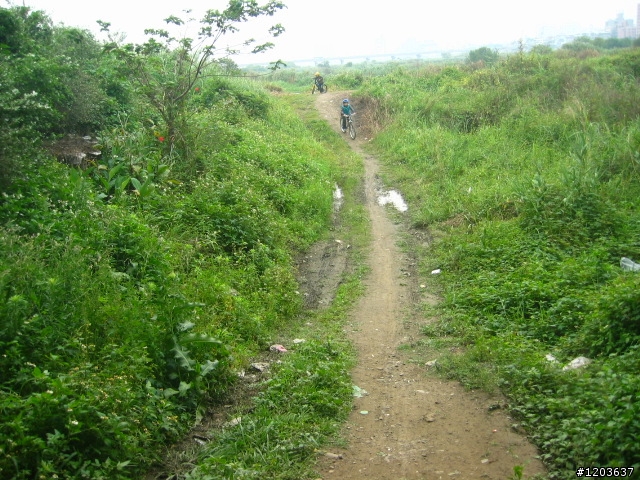 板橋大漢橋下U形土坡