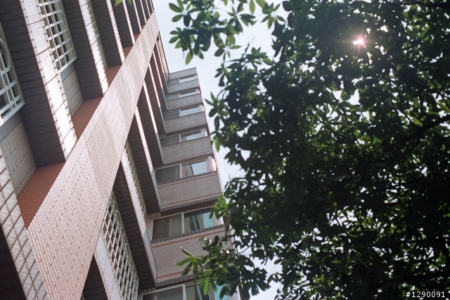 Canon AE-1 拍拍