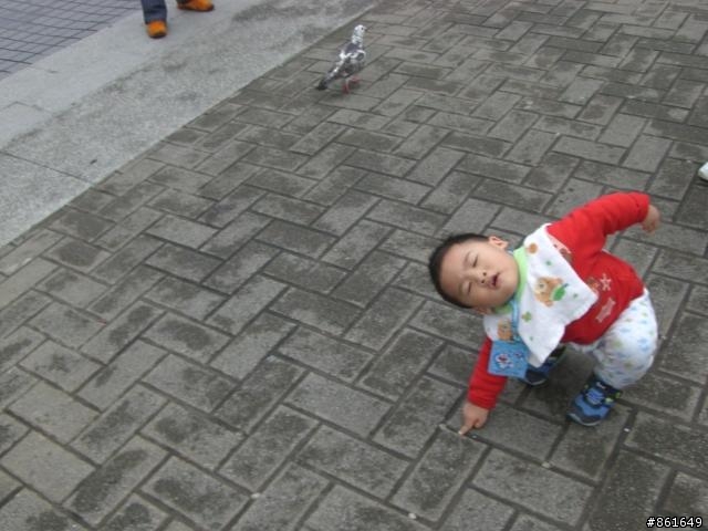 [分享]看團團圓圓去~從高雄出發~四天之旅(圖多)