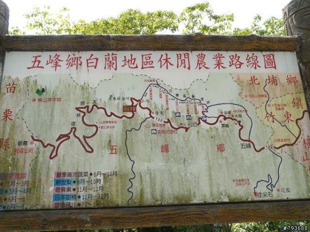 20090411  清泉-觀霧 4+2 七人之旅  照片重新連結完成