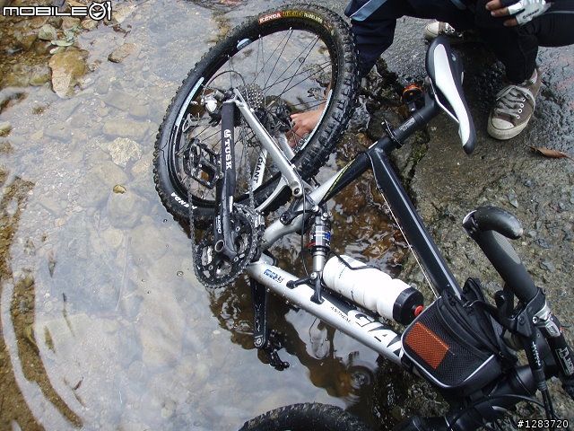 人倫林道鬥鬥遊