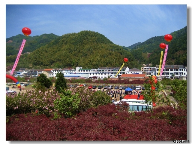 ★★★偷得浮生半日閑—自駕四明山賞櫻記！
