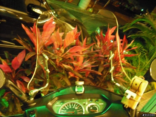 [麻豆圖更新]  擋風板??? 遮陽板??? 管他叫啥，好用就好