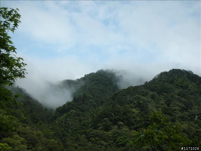 福巴越嶺V .S 巴福越嶺