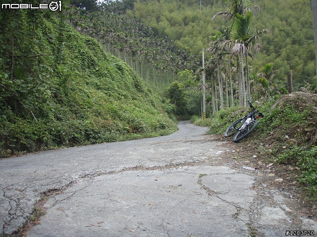 人倫林道鬥鬥遊