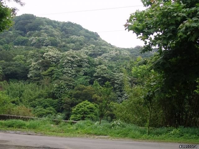 4/27樹林大棟山+輕度OFFROAD