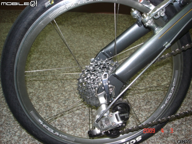 DAHON MU SL 星芒後輪鋼絲斷掉 (達鋐已更換新鋼絲)