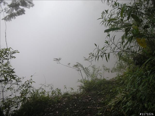 福巴越嶺V .S 巴福越嶺