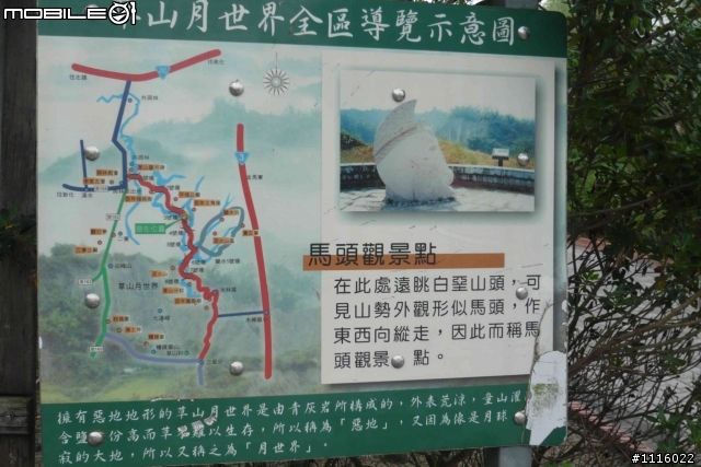 台南 五號樹屋 - 308高地