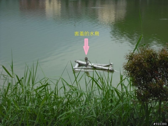溪頭隨便走走烤肉盃