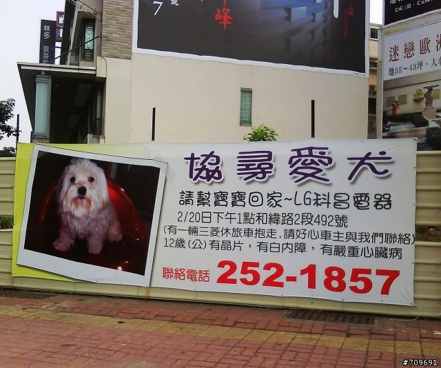 台南尋狗啟事的廣告