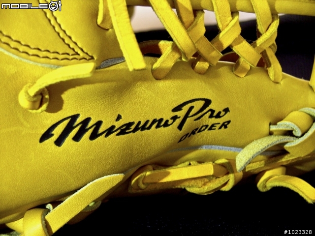 [分享] Mizuno Pro 棒球手套