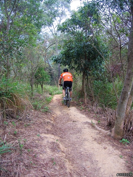 坔埔山單車行