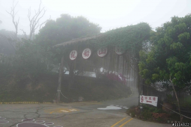 台南 五號樹屋 - 308高地