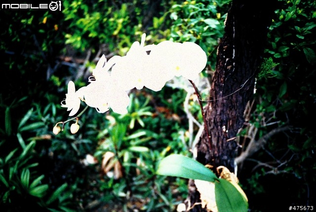 分享一下我的 LOMO LIFE(4/3日更新高雄佛光山篇)