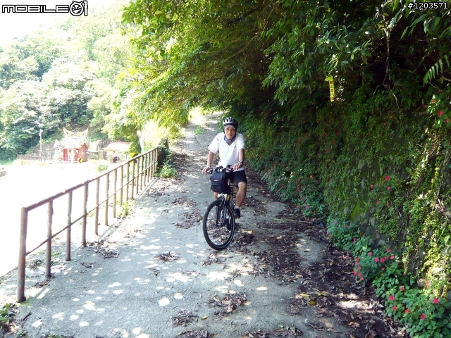 翡翠森林.跨嶺前行