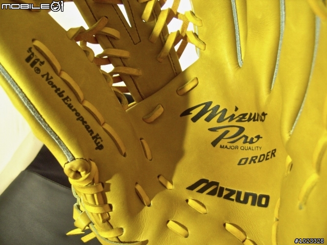 [分享] Mizuno Pro 棒球手套