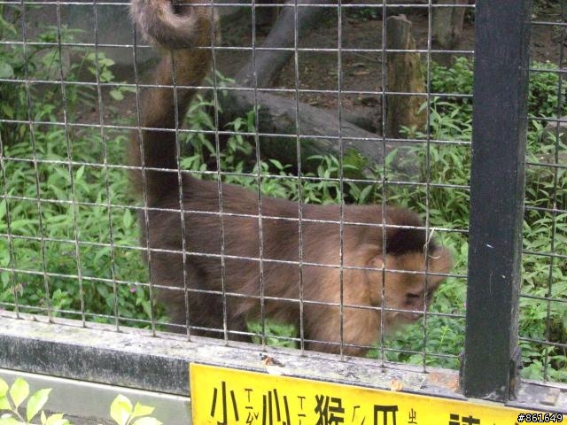 [分享]看團團圓圓去~從高雄出發~四天之旅(圖多)