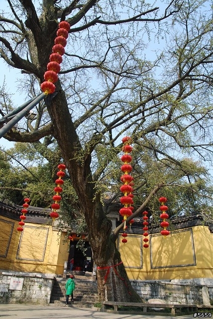 初春江南之旅Part 2-無錫,烏鎮
