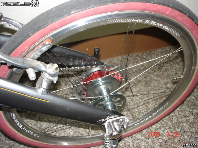 DAHON MU SL 星芒後輪鋼絲斷掉 (達鋐已更換新鋼絲)