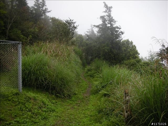 福巴越嶺V .S 巴福越嶺
