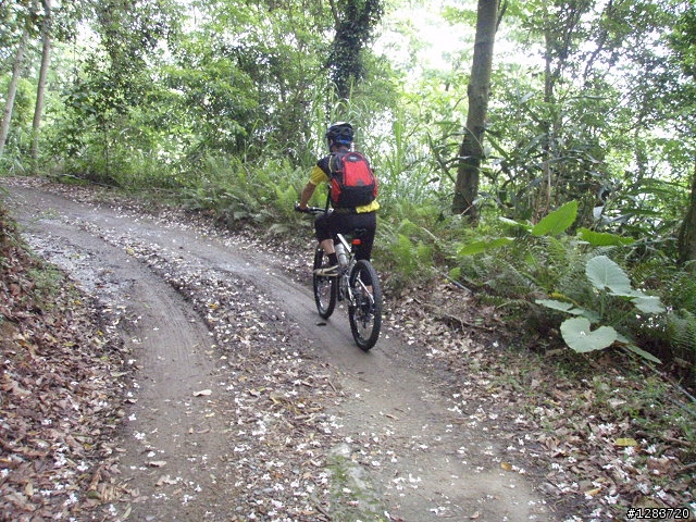 人倫林道鬥鬥遊