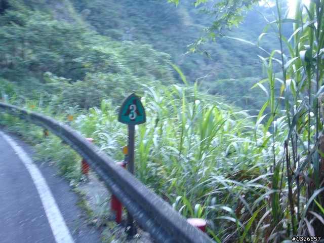 4+2太平山(六月會有舉辦腳踏車上太平山)