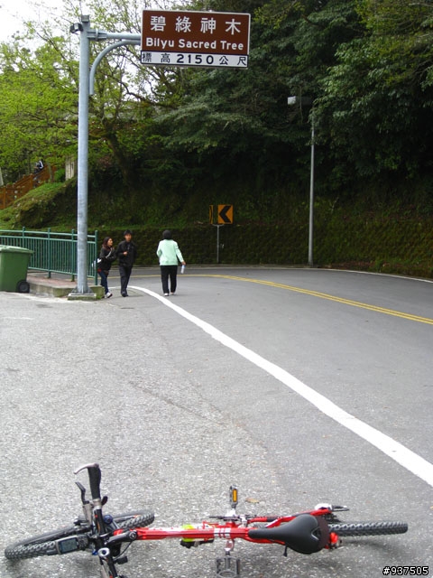 羅東→四季→梨山→大禹嶺→關原→太魯閣→新城→羅東