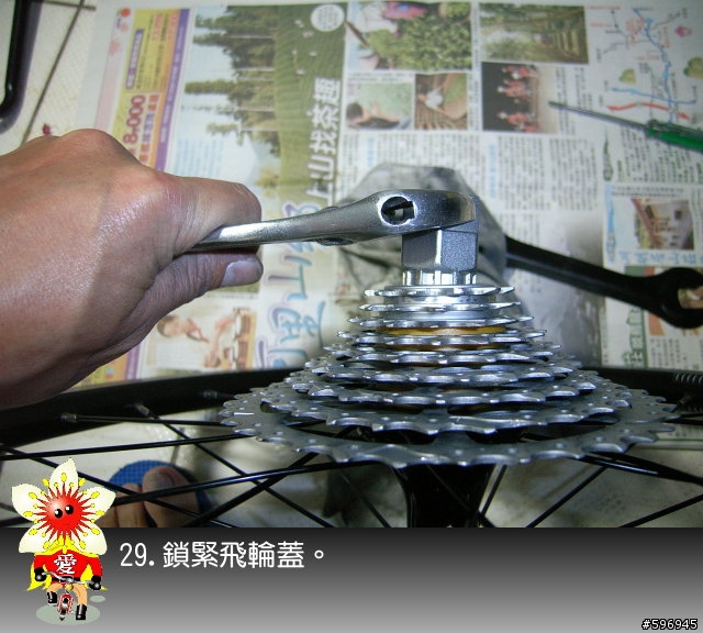 [分享]DAHON SP8後輪花鼓上油(多圖說明)