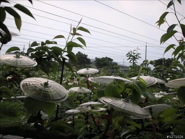 一個人的北橫牽車記及女王號獨行北橫加北宜兩日行