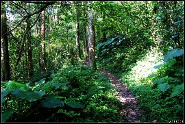 精簡版巴福越嶺~~福山段半日行