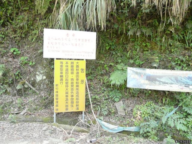 20090411  清泉-觀霧 4+2 七人之旅  照片重新連結完成